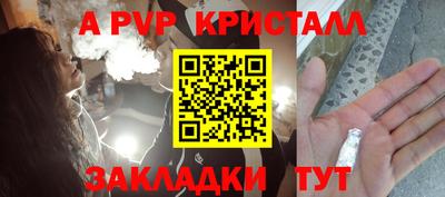 прущие грибы Шахты