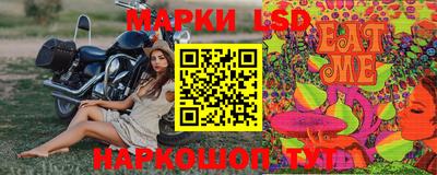 прущие грибы Шахты