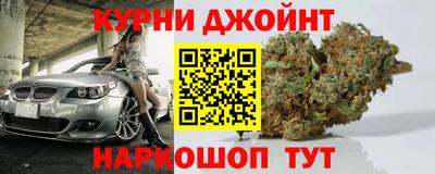сатива Шебекино