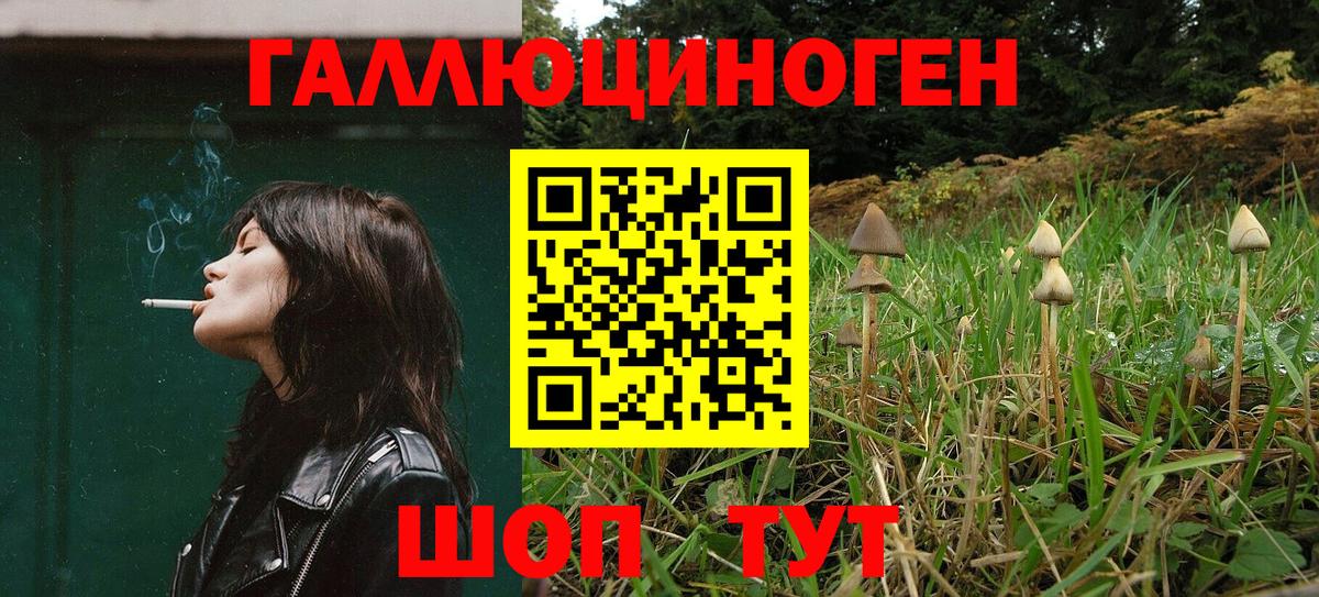 Галлюциногенные грибы прущие грибы Новошахтинск